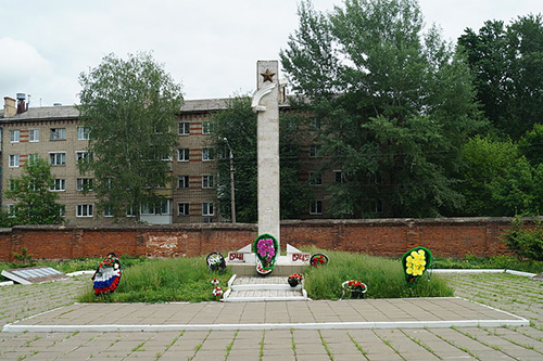Sovjet Oorlogsgraven Vsehsvyatskoe Begraafplaats #4