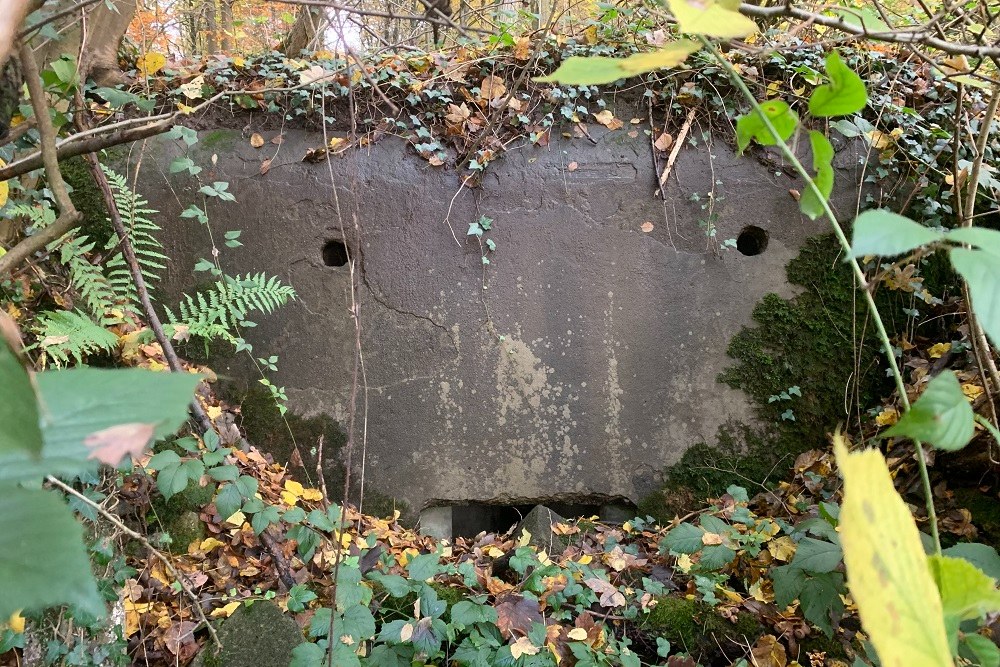 Bunker BV 20-2 Pepinster #5