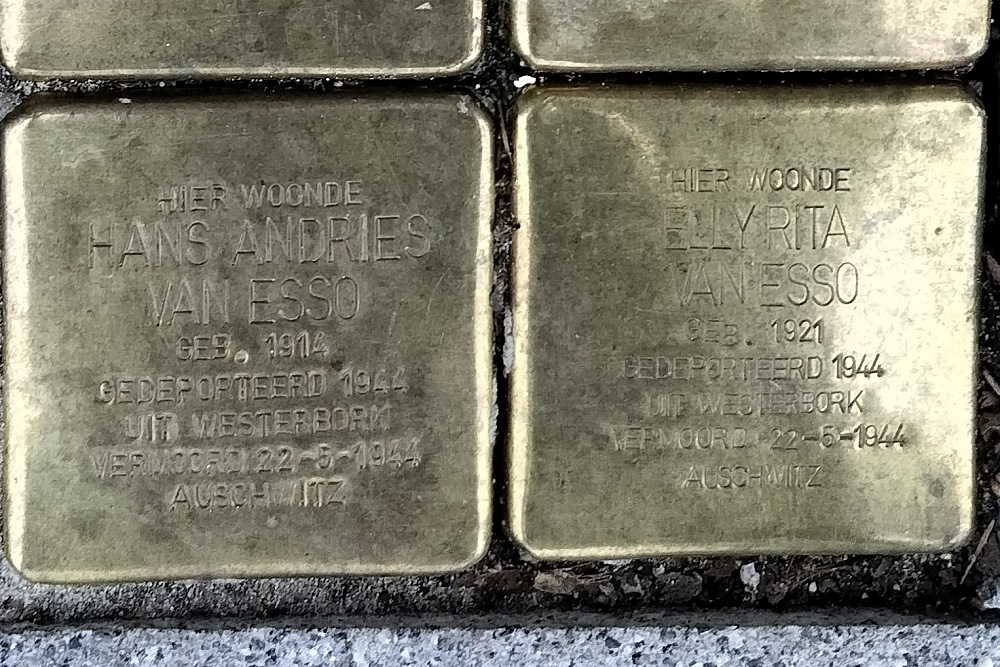 Stolpersteine Heemraadssingel 249 #3