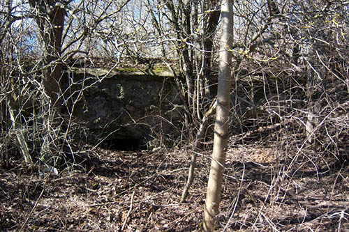 Vesting Kaunas - Duitse Bunker