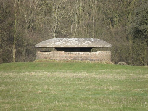 Mushroom Bunker Grafton Underwood #1