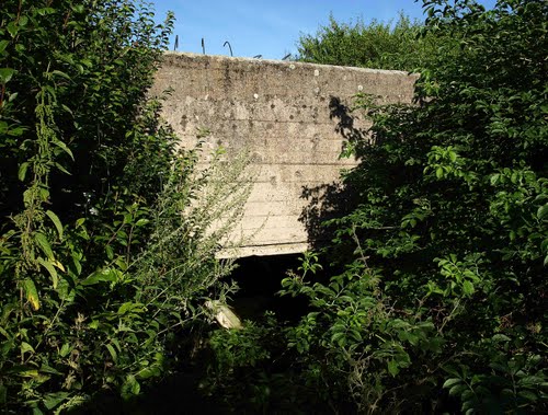 Rawka-Bzura-Stellung - Pillbox Sierzchow