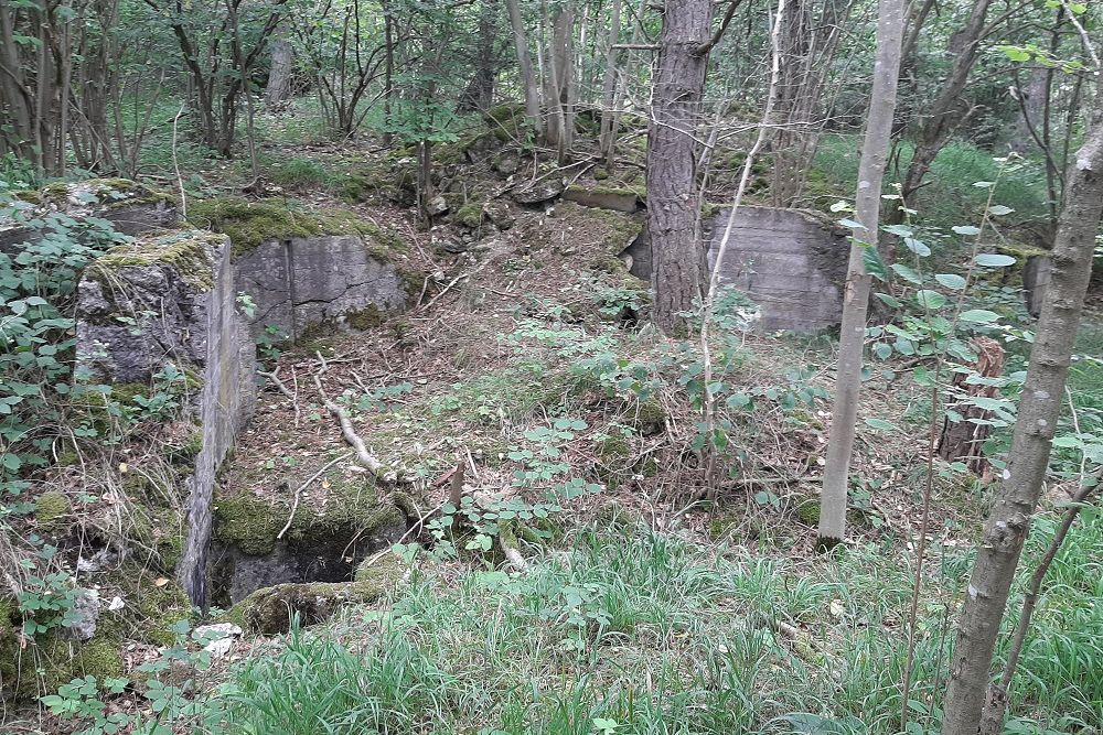 Flakstellung Zingsheim Bunker 4 #4