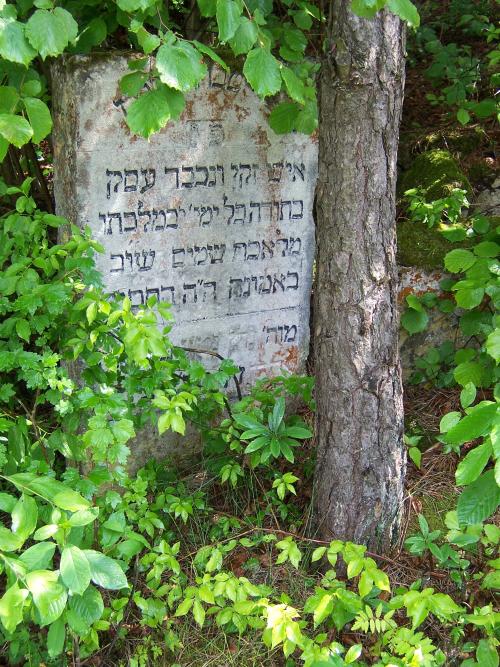 Jewish Cemetery Jzefw #5