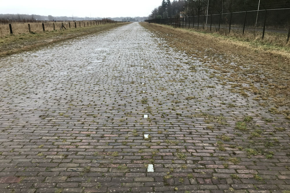 Taxiway Twente Airfield #1