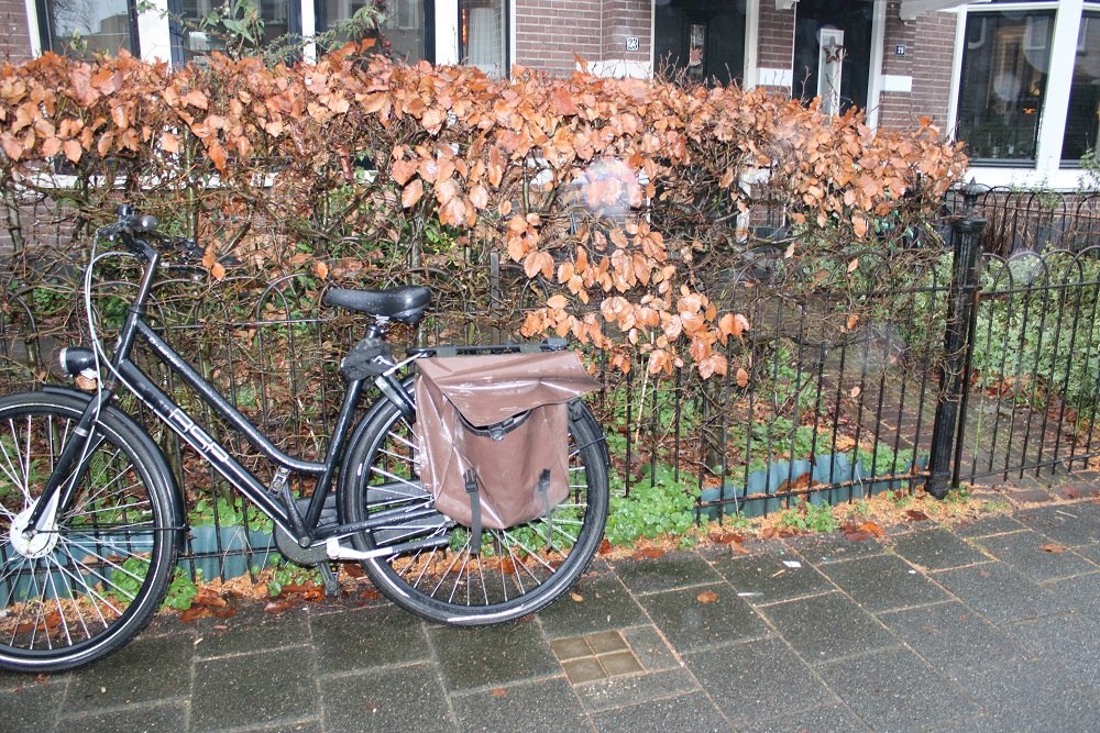 Stolpersteine Koningsstraat 23 #4