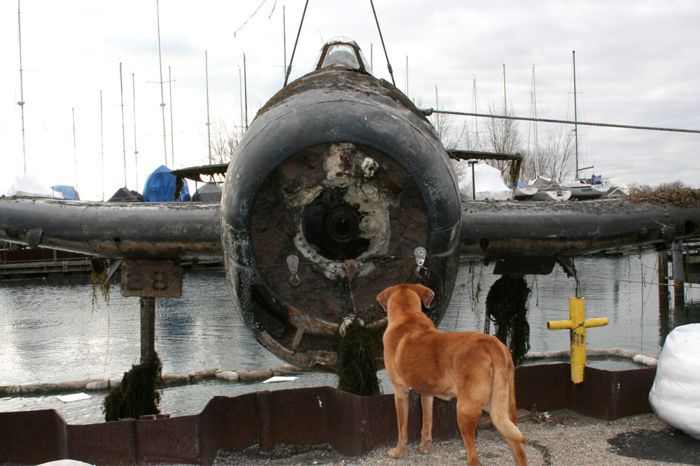 Crash Site Grumman F6F-3 Hellcat 25910 #1