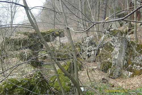 Molotov Line - Remains Casemate Załuż (E) #2