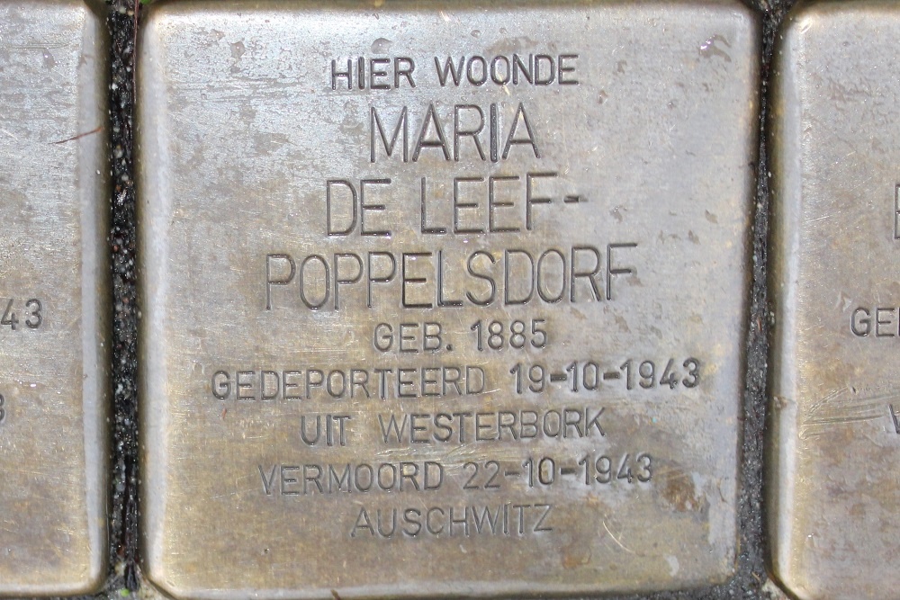 Stolpersteine Kampstraat 31 #3