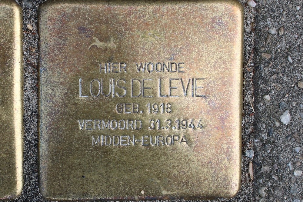 Stolpersteine Citadellaan 59 #3