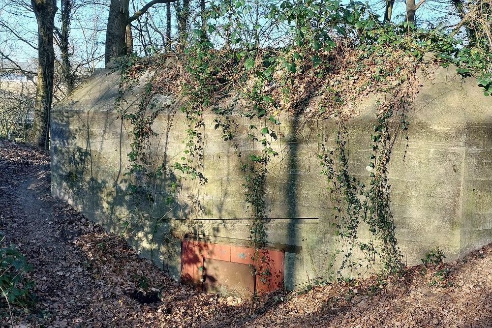 Pantherstellung - Bunker R009-P #2