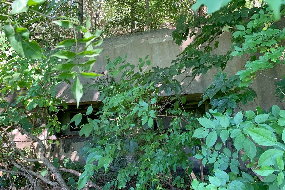 Bunker Mi1 Micheroux #1