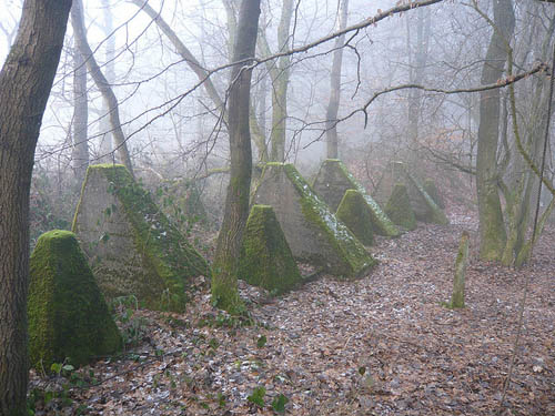 Westwall - Tank Barrier Orscholz #3