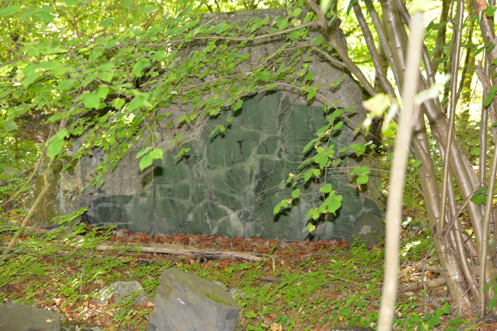Remains Bunker 344 #1