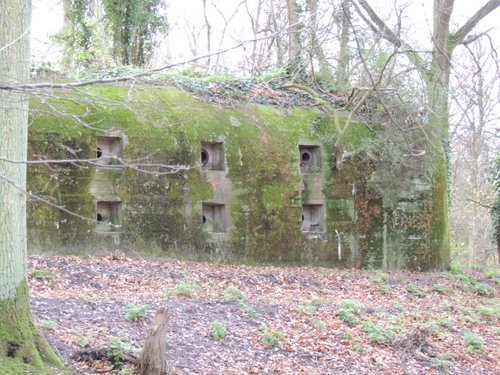 Bunker 8 Stützpunkt Brünhild 'Park Toorenvliedt' #2