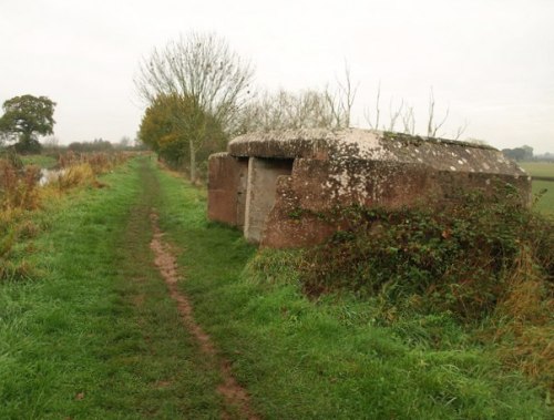 Pillbox FW3/24 Hedging #1