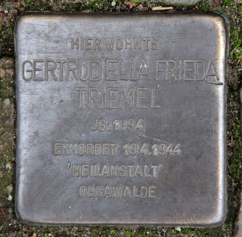 Stumbling Stone Tile-Brügge-Weg 43
