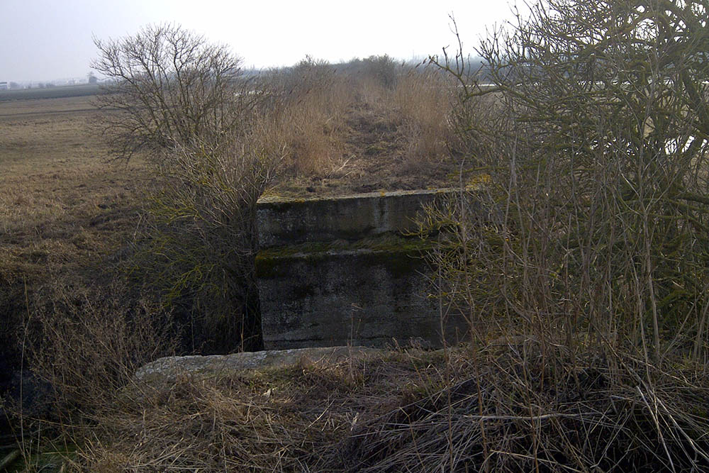 Remains Railway Bridge Kruszwica #1