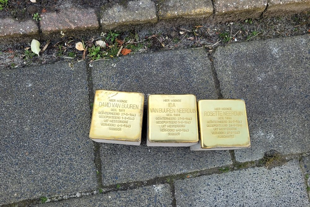 Stolpersteine C. Houtmanstraat 6 #2