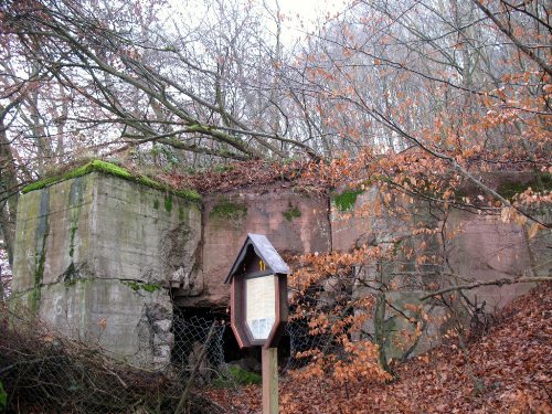 Bunker Westwall Gentingen #1