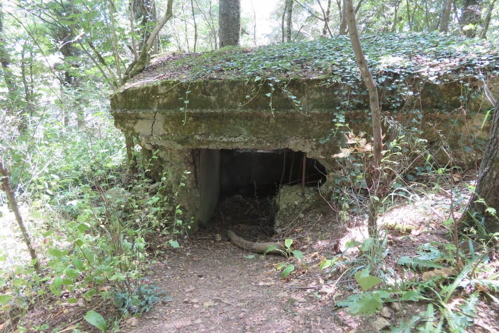 Bunker Butte de Froidmont Champey-sur-Mosselle #1