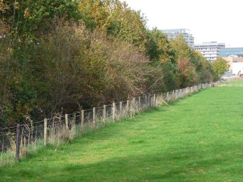 Anti-Tank Gracht Rhijnauwen