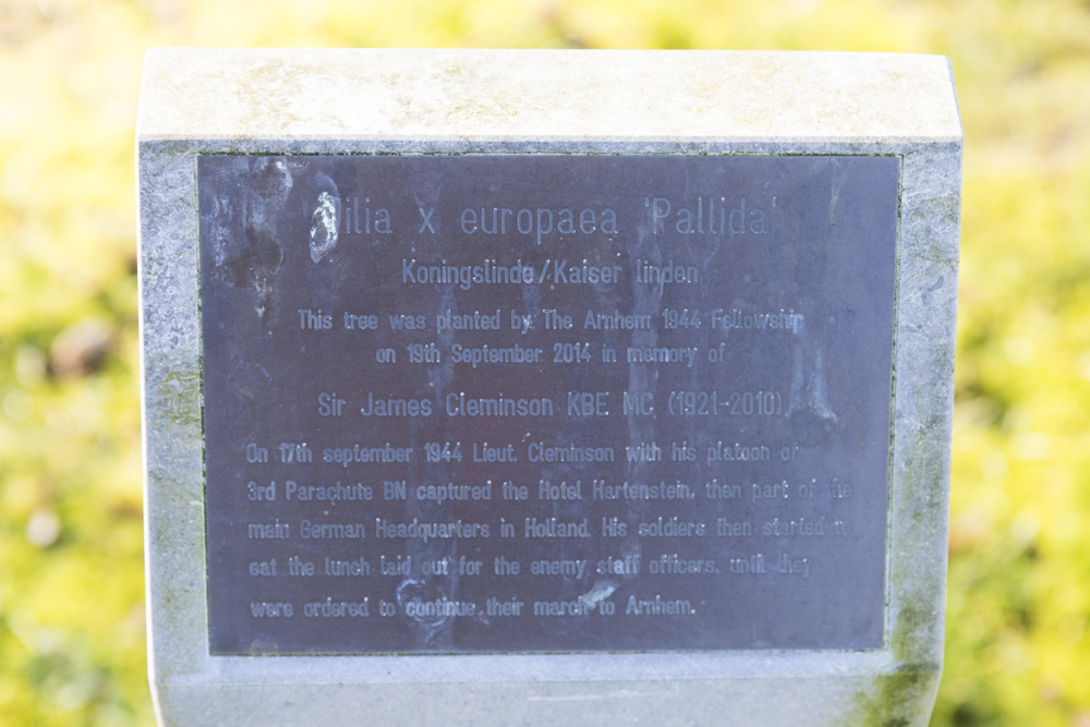 Memorial Tree Sir James Cleminson KBE, MC #4