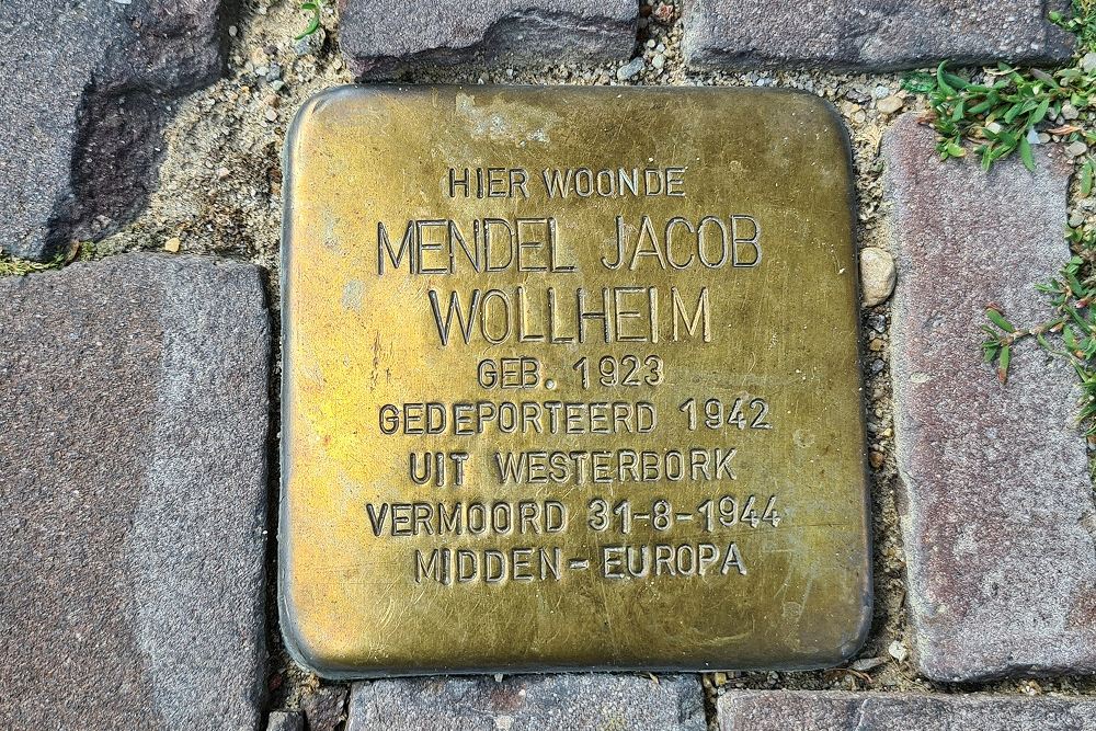 Stolpersteine Kruisherenstraat 30 #1