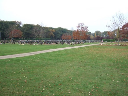 Oorlogsgraf van het Gemenebest Gaywood Cemetery #1