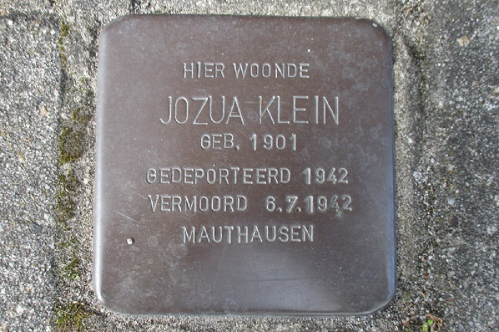 Stolpersteine Semskade 6 #3