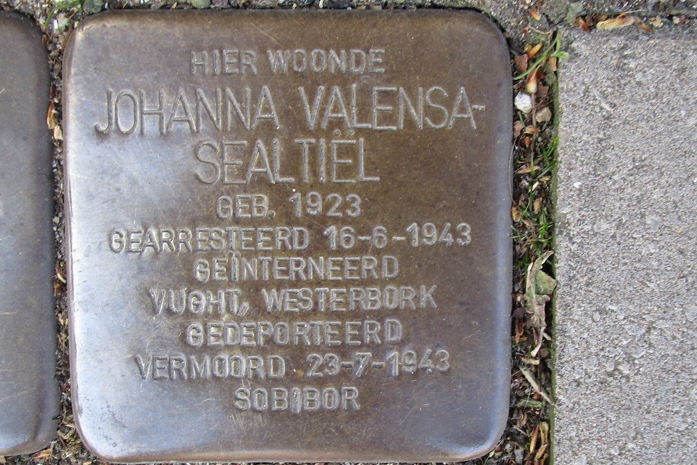 Stolpersteine Krugerstraat 13 #3