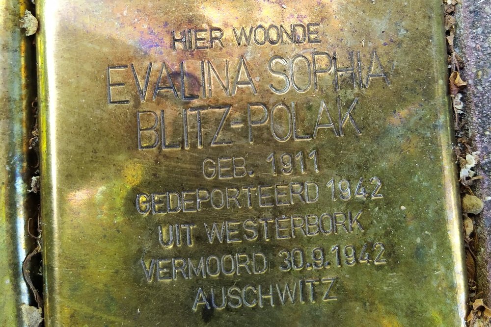 Stolpersteine Prins Willem Van Oranjelaan 21 #3