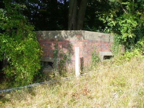 Bunker FW3/24 Shere