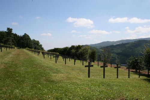 Duitse Oorlogsbegraafplaats La Brogue #4