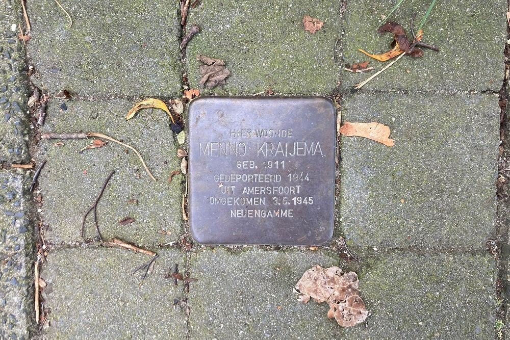 Stumbling Stones Kometenstraat 96 #4