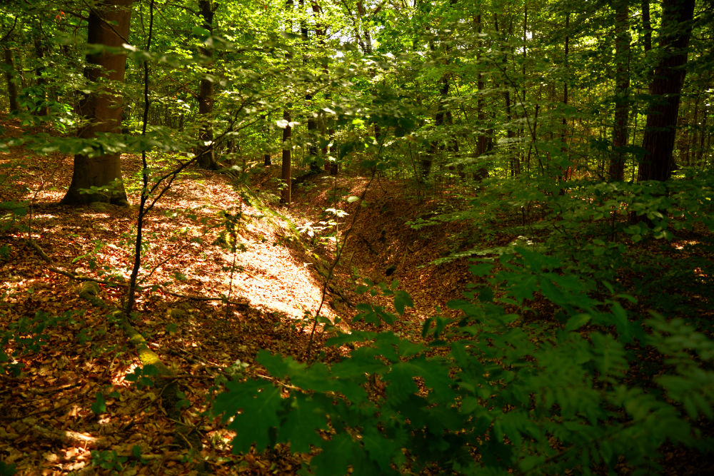 Maas-Rur-Stellung -  Tank Barrier Near Bosberg Swalmen #1