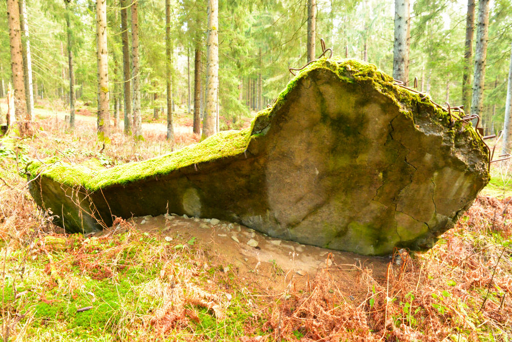 Westwall Bunker Wahlerscheid #4