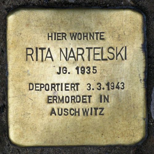 Stumbling Stones Käthe-Niederkirchner-Straße 6 #3
