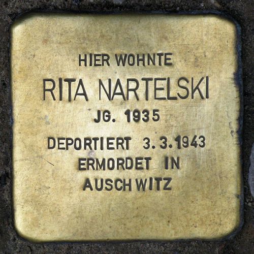 Stolpersteine Kthe-Niederkirchner-Strae 6 #3