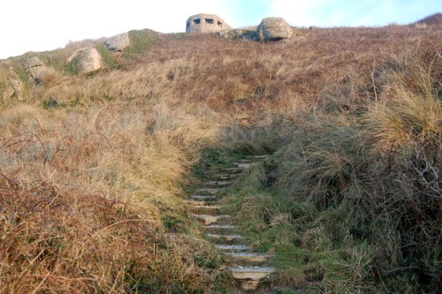 Pillbox FW3/24 Sennen Cove #5