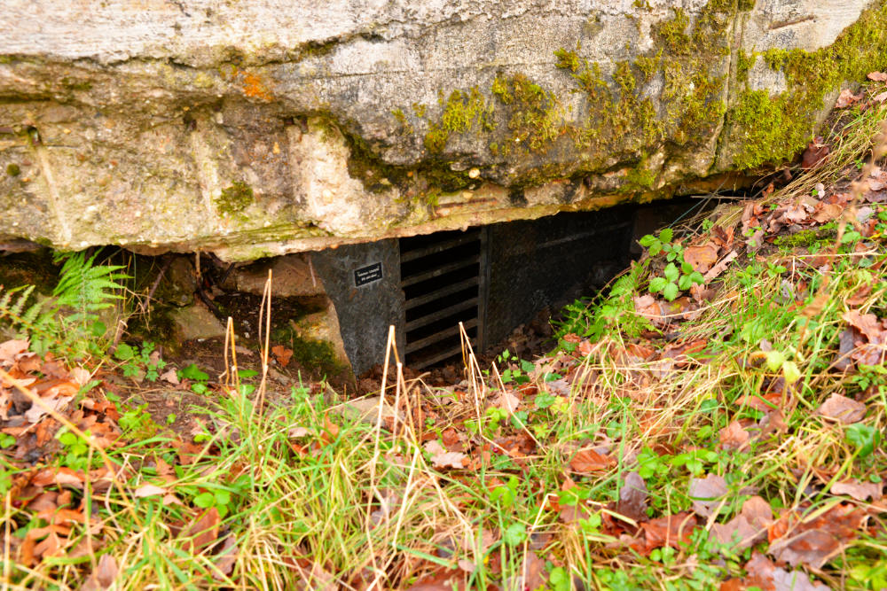 Remains Bunker Schleiden #1
