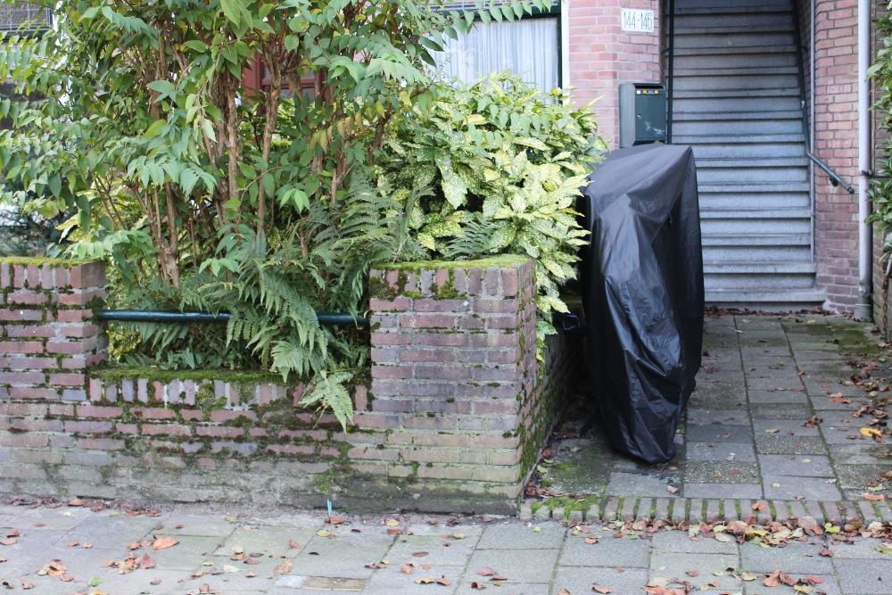Stolpersteine Koningin Wilhelminalaan 144 #4
