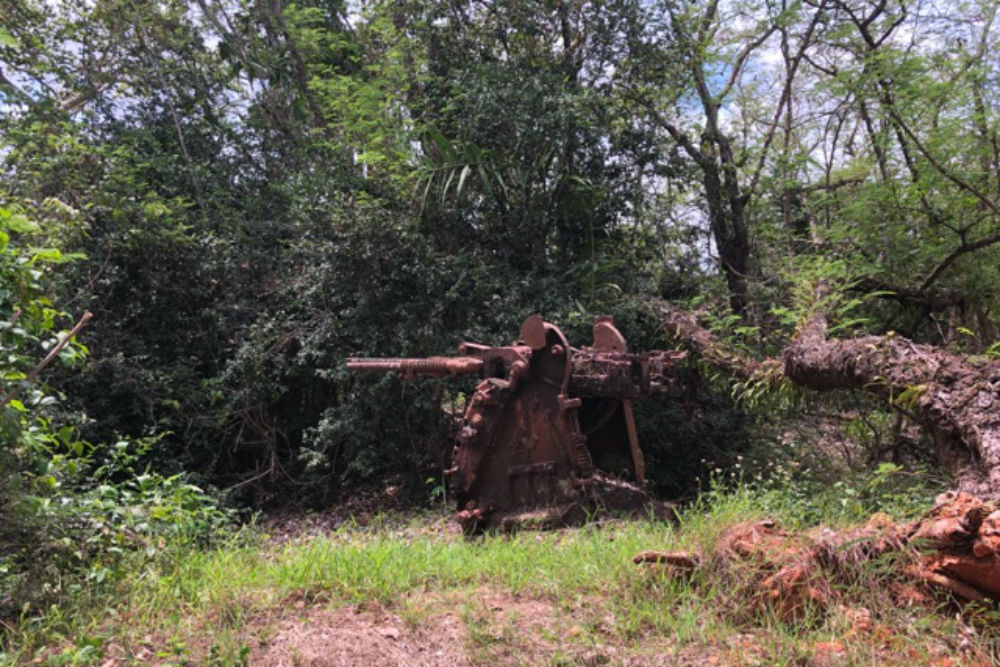 Japanese Type 96 25mm Anti-Aircraft Gun