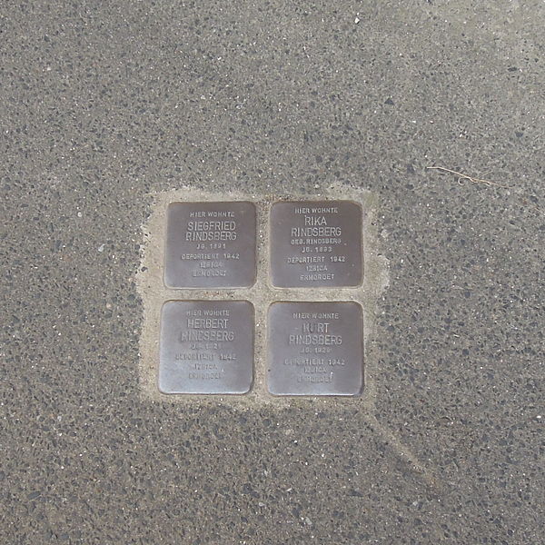 Stolpersteine Mhlweg 9 #1