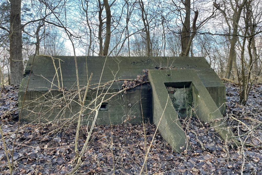 Group Shelter Type 1918/I Velserbroek #1