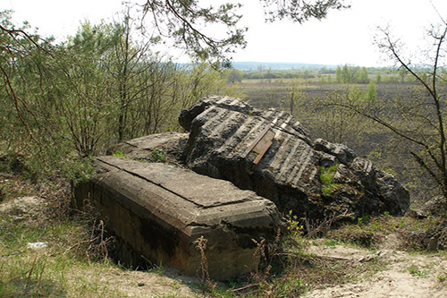 Stalinlinie - Restant Bunker Nr. 577 #1