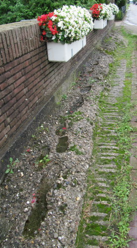 Monument Poolse Brug Zaamslag #5