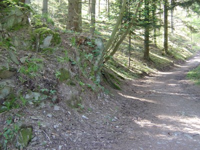 Rock Outcrop Kall Trail #2