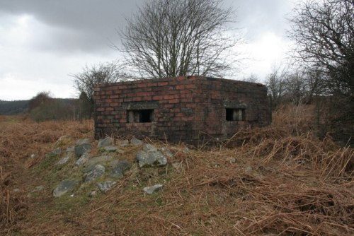 Bunker FW3/22 Llanwrthwl #3