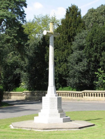 War Memorial Elm #1